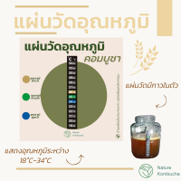 แผ่นวัดอุณหภูมิ สำหรับการหมักดอง 18°C - 34°C l Nature Kombucha