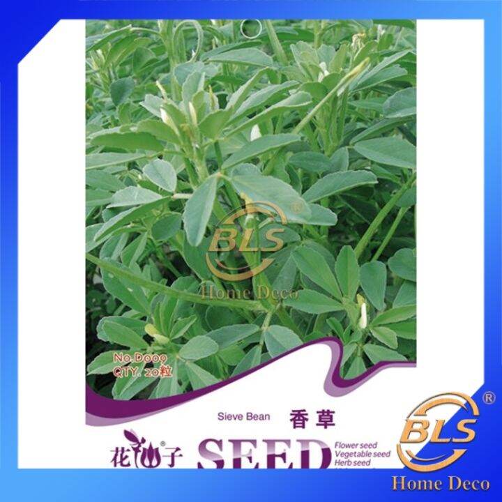 【EXPIRED】BIJI BENIH D009 SIEVE BEAN FLOWER GODDESS VEGETABLE FLOWER
