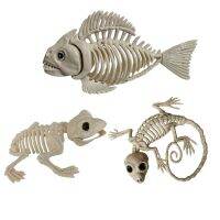 【HOT】☒☈ Horror Piranha Gecko Frog Ornaments Lizard Creepy Decoration Props for Kids