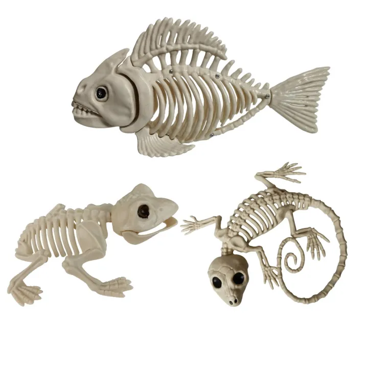 hot】 Halloween Animal Skeleton Bones Horror Piranha Fish Gecko Frog Ornaments Lizard Creepy Decoration Props Party for Kids Gift | Lazada PH hot】 Halloween Animal Skeleton Bones Horror Piranha Fish Gecko Frog Ornaments Lizard Creepy Decoration Props Party for Kids Gift | Lazada PH