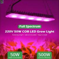 [สินค้าใหม่]220V Full Spectrum LED Grow Light COB 50W ไฟปลุกต้นไม้ ไฟช่วยต้นไม้ตัวเร็ว