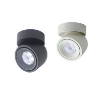 Led Surface Mounted Ceiling Downlight Adjustable 90 degrees Nordic Spot light for indoor Foyer,Living Room AC 90-260V