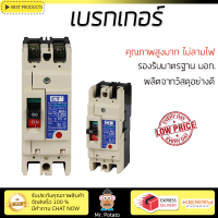 รุ่นใหม่ล่าสุด เบรกเกอร์ เบรกเกอร์ไฟฟ้า เบรกเกอร์ MCCB CT 2P 60A คุณภาพสูงมาก ผลิตจากวัสดุอย่างดี ไม่ลามไฟ รองรับมาตรฐาน มอก. Circuit Breakers