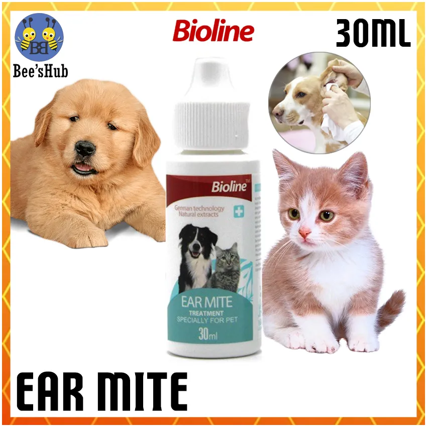 can i use cat ear mite treatment on dog