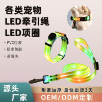 โรงงานจัดหา led ปลอกคอสัตว์เลี้ยงกันน้ำสำหรับสุนัข LED สายจูงเรืองแสงปลอกคอสัตว์เลี้ยงเคลือบยางกันน้ำเรืองแสง