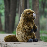 Groundhog ความจงรักภักดีสูงน่ารัก Marmot Plushie Bobac ของเล่นตุ๊กตาเหมือนจริงสัตว์จำลองยัดตุ๊กตา Kawai ของเล่นของขวัญสำหรับเด็ก