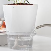 Hydroponic Automatic Water Absorption Succulent Flower Pot Self-Watering Flower Pot Hydroponic Lazy Flower Pot