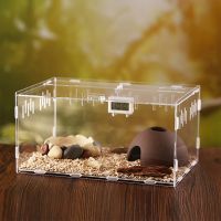 Reptiles Spiders Assemble Easy Insect Acrylic Container Transparent Carriers Feeding To Terrarium Small Snake For