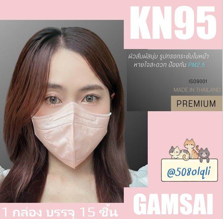 ป้องกันฝุ่น-pm-2-5-รุ่น-kn95-หน้ากากอนามัยทางการแพทย์-ป้องกันเชื้อโรค