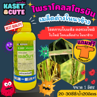 ? แถมฟรีเสื้อ 1 ตัว เซลติมา (ไพราโคลสโตรบิน) ป้องกันเชื้อราเมล็ดด่างในนาข้าว (1ลิตร)