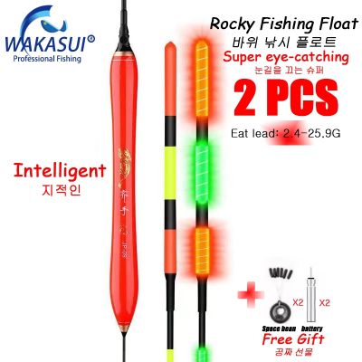 ♧ 2021New 2 Pcs Carp Fishing Floats Accessories Nano Float Luminous For Rock Fishing Buoy In Summer High Sensitivity Striped-Bass