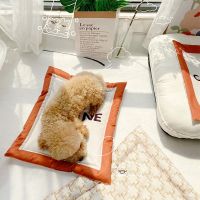 Dog Blanket Sofa Cat Soft Pad Bed for Puppy Chihuahua Cushion Home Rug Keep Warm Sleeping Mat for Small Medium Dog Accessory