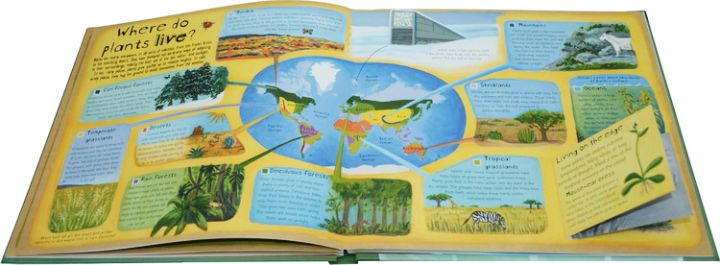 how-plants-work-english-original-interesting-popular-science-three-dimensional-book-english-childrens-english-popular-science-books-turn-over-the-original-books-to-understand-the-secrets-of-plants