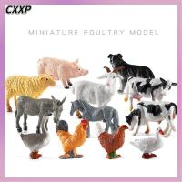 CXXP สมจริง การศึกษา ของขวัญสำหรับเด็ก สัตว์ปีกจำลอง ของเล่น ตุ๊กตา โมเดลสัตว์