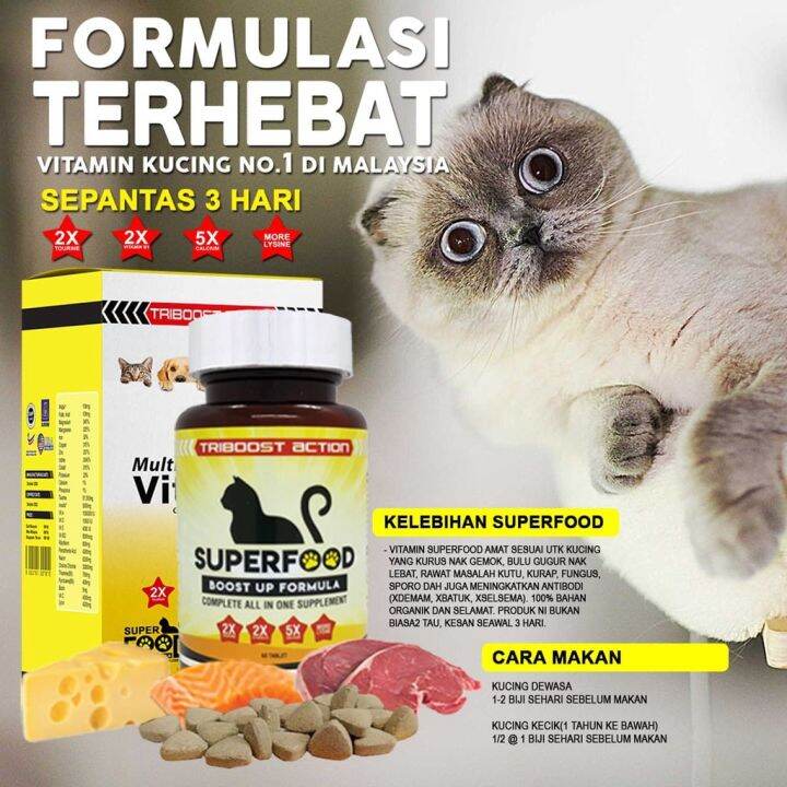SUPERFOOD BOOST UP FORMULA VITAMIN UNTUK KUCING SUPPLEMENT FOR CAT Lazada