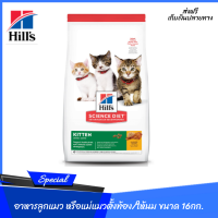 ??ส่งฟรีHills Science Diet อาหารลูกแมว หรือแม่แมวตั้งท้อง/ให้นม ขนาด 16 กก. เก็บเงินปลายทาง ?