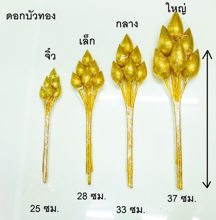 ดอกบัวกำ-เงิน-ทอง-ชมพู-เขียว-ขนาดจิ๋ว-เล็ก-กลาง-ใหญ่