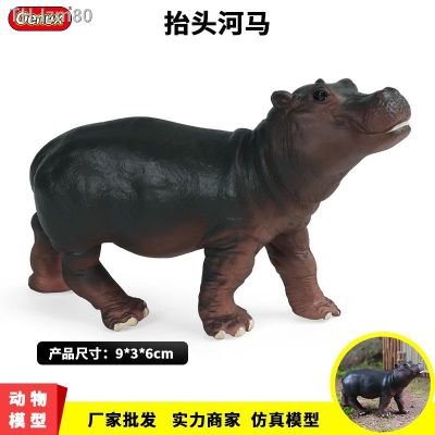 🎁 ของขวัญ Simulation model of a hippo solid wildlife park toys male girl cognitive science and education the worlds children home furnishing articles