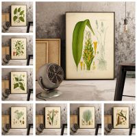 Nordic Tropical Plants Retro Home Decoration - Modern Scandinavian Green Leaf Decor-โปสเตอร์ HD และภาพวาดผ้าใบสำหรับห้องนั่งเล่น Wall Art