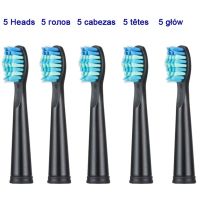 R Rechargeable Tooth Brush Heads For Seago Sonic Electric Toothbrush SG-503/507/513/575/551Compatible With Fairwill FW-507/551/515