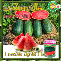 **พร้อมส่ง** เมล็ดพันธุ์ แตงโมตอปิโด 1 กระป๋อง ปลูกได้ 1 ไร่ ขนาด 40 กรัม ปลูกง่าย โตเร็ว ปลูกได้ทั้งปี ลูกใหญ่ เนื้อแดง เมล็ดพันธุ์ผัก