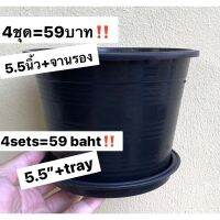 แนะนำ? กระถางต้นไม้5.5 นิ้ว พร้อมจาน(4ชุด️)5.5 INCHES OF FLOWER POT(4SETS)