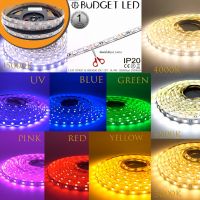 LED STRIP, K-BB5050-60-DC12V IP20 14.4W/1M ไฟริบบิ้นแอลอีดีเปลือย 60LED/1เมตร 14.4W/1เมตร ยี่ห้อ BUDGET LED แอลอีดีไฟเส้น 300LED/5เมตร 72W/5เมตร