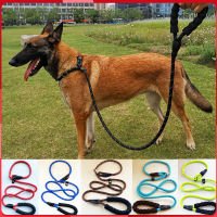 【HOME AID】Big Dog Walking Training Slip Leash สายจูงสุนัขขนาดใหญ่ 170 ซม. พร้อมเชือกไนล่อนสะท้อนแสงแบบปรับได้