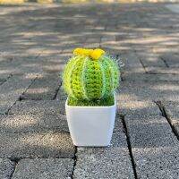 Hand-Knitted Cactus Plants Bonsai Artificial Flower Pots Handmade Crochet Original Gift For Cute Room Home Desk Ideas Decoration