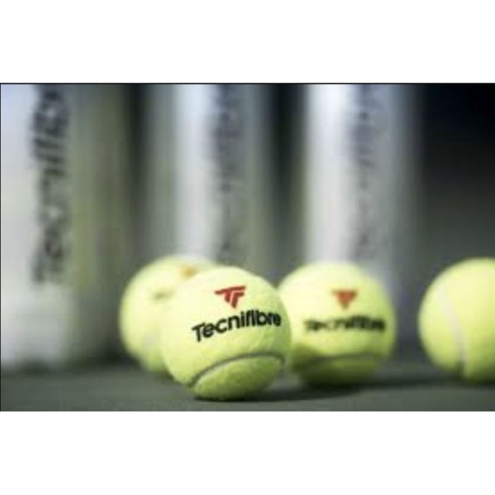 Tecnifibre Xone Tennis Balls 3 or 4 Ball Lazada PH