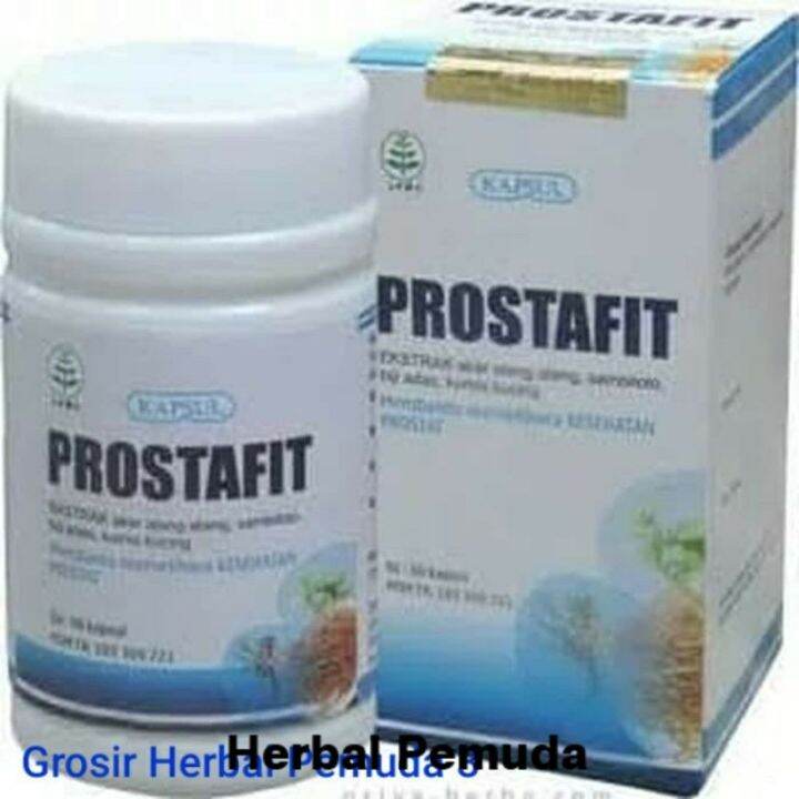 Prostafit Griya Herba Herbal Prostat Obat Prostat Lazada Indonesia 1603