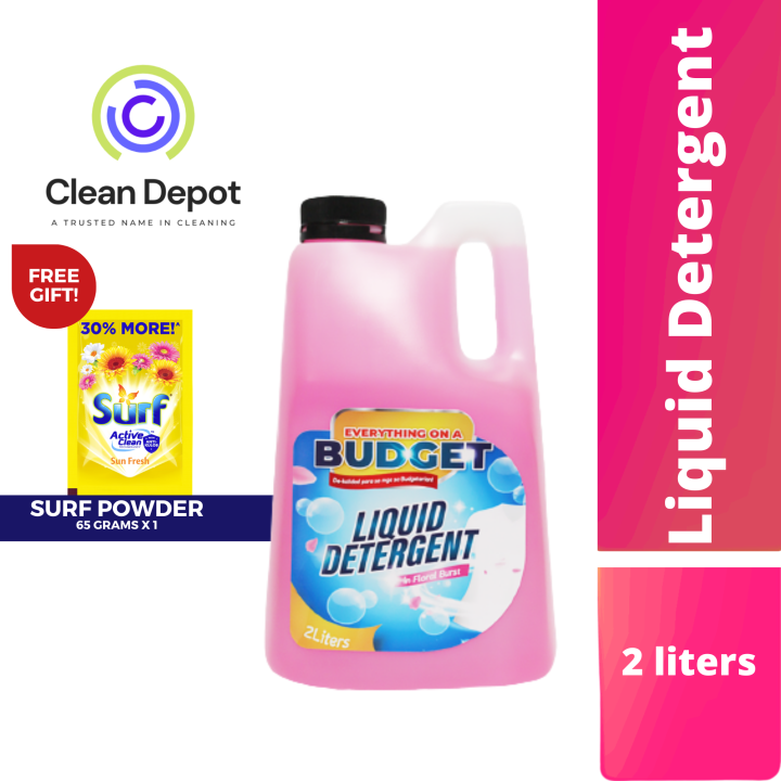 Everything on a Budget Floral Burst Liquid Detergent with Fabric