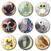 Fridge Magnets OWL 30MM Glass Dome Refrigerator Whiteboard Blackboard Teaching Magnetic Stickers Cute Cartoon Animals Home Decor