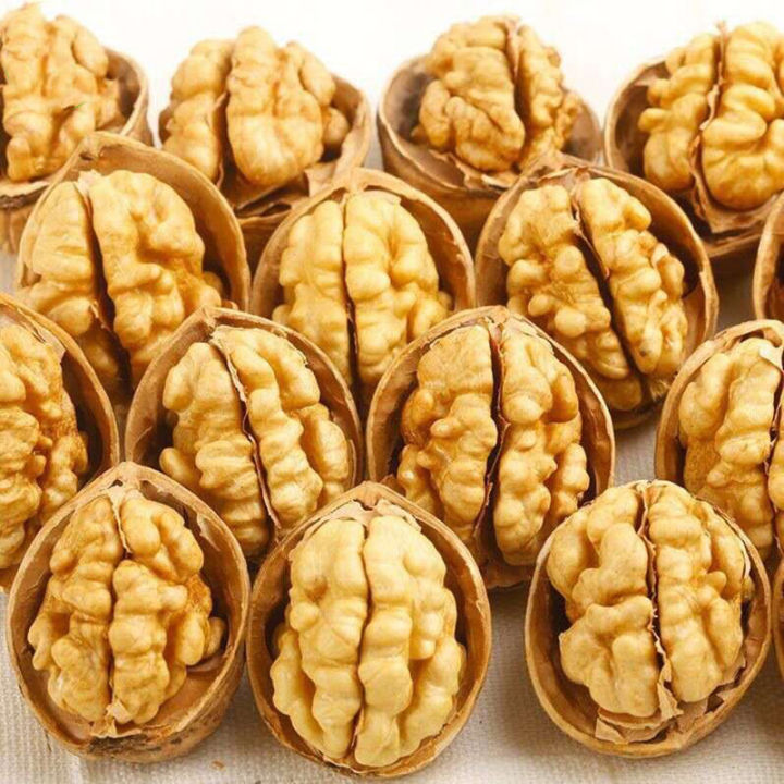 ส่งเร็ว-วอลนัท-walnut-สัตว์แทะฟัน-อาหารหนูแฮมสเตอร์-หนูนา-หนูตะเภา-นกแก้ว-ชินชิลล่า-กระต่าย-เจอร์บิล-กระรอก-ของเล่นนกแก้ว