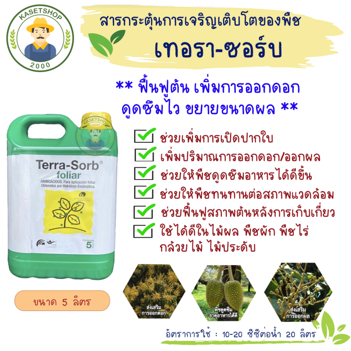 เทอรา-ซอร์บ-terra-sorb-ขนาด-5-ลิตร-อะมิโนนำเข้าจากสเปน