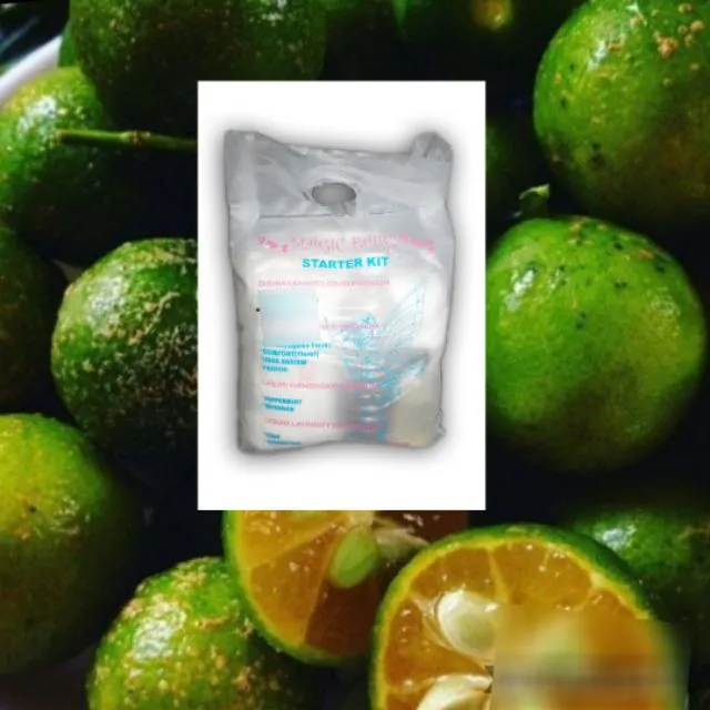 Dishwashing Liquid Making Kit Calamansi Scent Op Lazada Ph