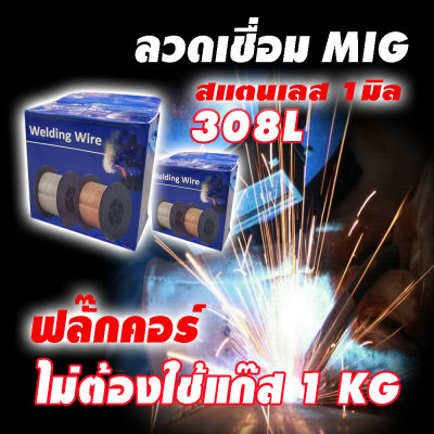 (1มม.) ลวดเชื่อม MIG สแตนเลส ฟลักซ์คอร์ 308L (แบบไม่ใช้แก๊ส) POWERWELD COREMAX SF308LN (ม้วนละ 1 กก.)