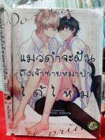 การ์ตูนวาย หนังสือการ์ตูนวาย แมวดำจะฝันถึงเจ้าชายหมาป่าได้ไหม เล่มเดียวจบ