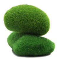 【CW】✓  Marimo Moss Balls Artificial Turf Garden Terrarium