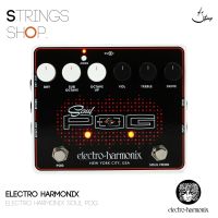 เอฟเฟคกีตาร์ Electro Harmonix SOUL POG