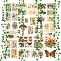 45Pcs Vintage Botanical Aesthetic Wall Collage Kit Fake Vines Art Illustration Poster Card Dorm Bedroom Living Room Decor