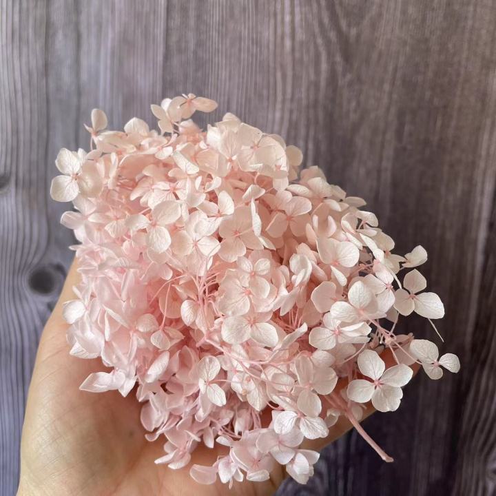 cw-6-6-5g-natural-fresh-preserved-flowers-dried-small-leaves-hydrangea-flower-heads-for-diy-real-eternal-life-flowers-material