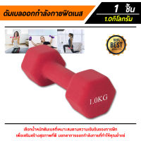 ดัมเบล Dumbbells สำหรับลดไขมันต้นแขน ออกกำลังกาย ฟิตเนส 1/2Kg. 1 ชิ้น