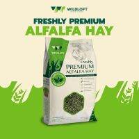 Wildloft Freshly Premium Alfalfa 510 g.