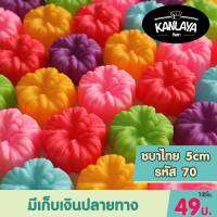 5cm ชบาไทย รหัส70 (12 ชิ้น/1โหล) SKU : 104474