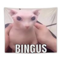 【CW】✶∈  Bingus Tapestry Wall Hanging Meme Poster for Room Bedroom Decoration College Dorm