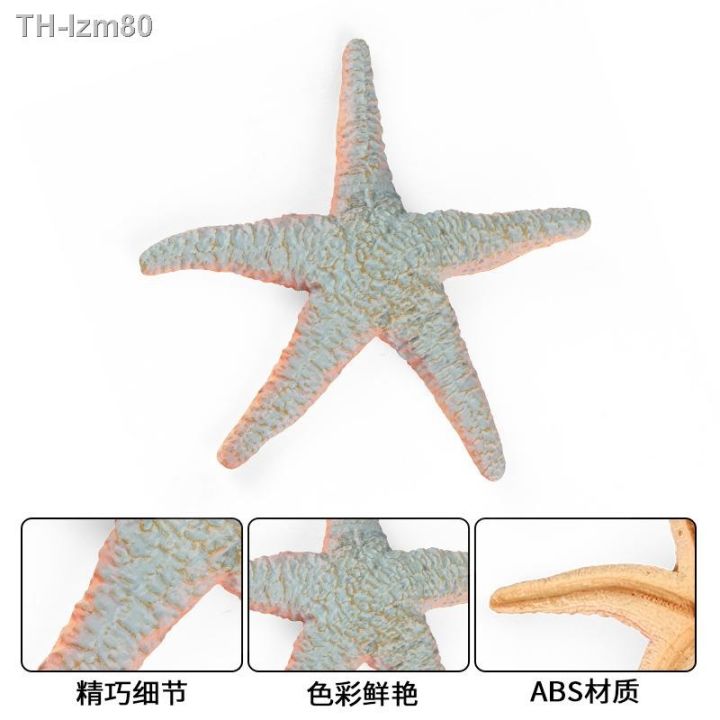 ของขวัญ-childrens-educational-simulation-model-of-marine-biological-starfish-echinoderms-solid-plastic-bottom-cognitive-toys