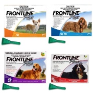Nhỏ gáy Frontlinee Plus giúp giảm ve rận cho chó