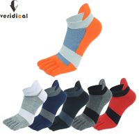 5 Pairs Five Finger Ankle Sport Socks Cotton Mens Striped Mesh Breathable Shaping Anti Friction No Show Socks With Toes EUR39-46 Socks