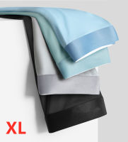 Xiaomi New 4Pcs Men Boxer Panties Men Underwear Boxers Boxer Shorts Boxershorts Long Underpants Natural High Quality Brand